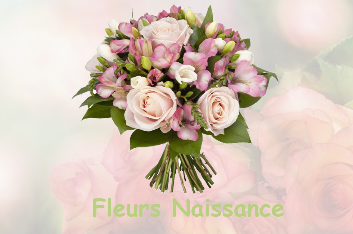 fleurs naissance SAINT-LAURENT-DE-VEYRES